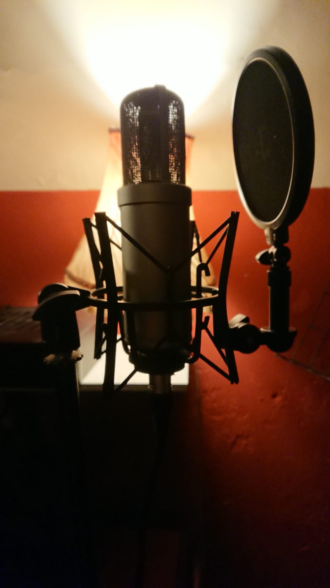 Tube Rode NTK Vocal Microphone Sirkus Studios